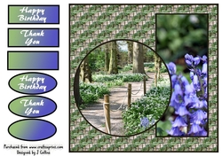 Bluebells v2
