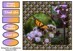 Monarch Butterfly v2