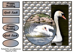 Swan v2