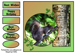 Squirrel Birthday