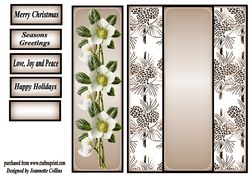Christmas Rose