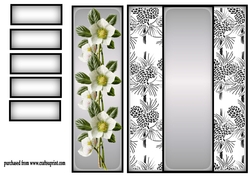 Christmas Rose 2