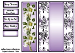 Christmas Rose 6