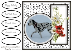 spotty dog,Dalmation