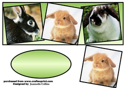bunny love