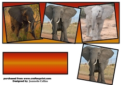 we three Elephants