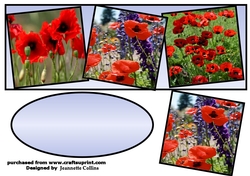 poppy fields