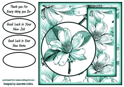 floral colours 5