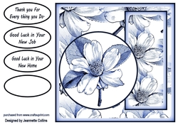 floral colours 7