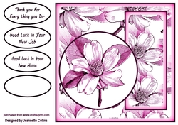 floral colours 10