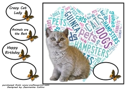 Crazy cat lady