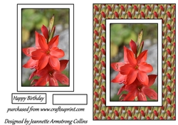 Red Flowers