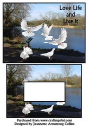 peace