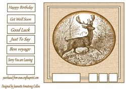 Stag 3
