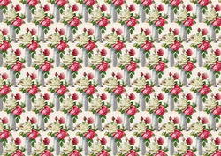 rose back ground