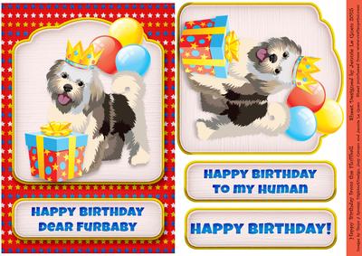 Happy Birthday from the Furball