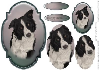 Border Collie Topper and Tag