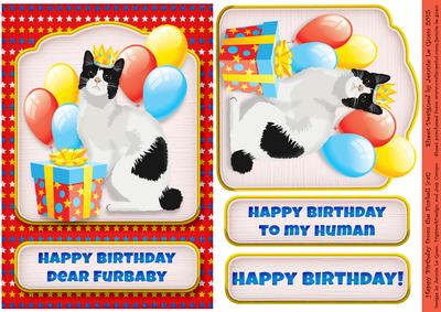 Happy Birthday from the Furball 2