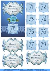 Happy Birthday Nan Septarian Ages in Blue