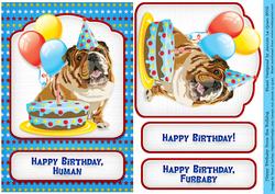 Happy Birthday from the Bulldog