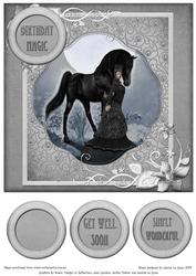 Black Snow Queen - Simply Wonderful