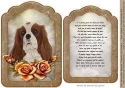 Pet Sympathy A5 Topper and Insert with Verse