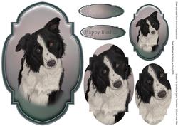 Border Collie Topper and Tag