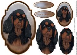 King Charles Spaniel Topper and Tag