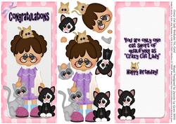Qualified Crazy Cat Lady Dl Birthday Card