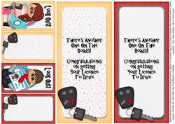 Driving Kids Alternate Uk Spelling Dl Inserts