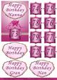 Happy Birthday Nan with Septarian Ages in Burgunday