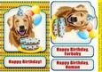 Happy Birthday from the Golden Retriever