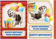 Happy Birthday from the Furball