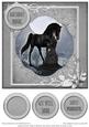 Black Snow Queen -  Simply Wonderful