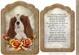 Pet Sympathy A5 Topper and Insert with Verse