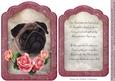 Pet Sympathy A5 Topper and Insert with Verse 2