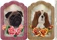 Loyal Companions A5 Toppers 3