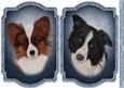 Loyal Companions A5 Toppers 2