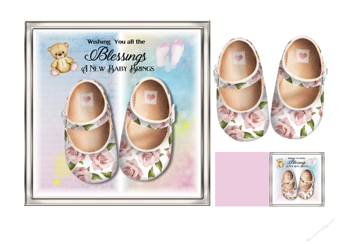 Blessings a New Baby Girl 2