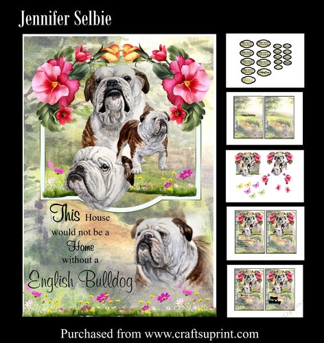 Dogs - English Bulldog