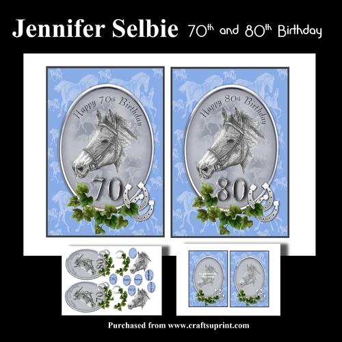 70th and 80th Birthday with Beautiful Horse Portrait 