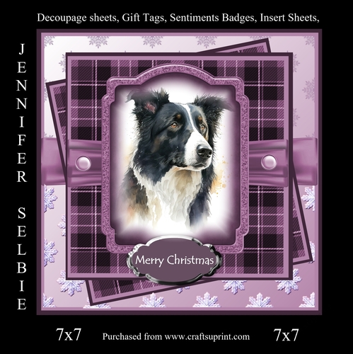 Christmas Border Collie in Purple