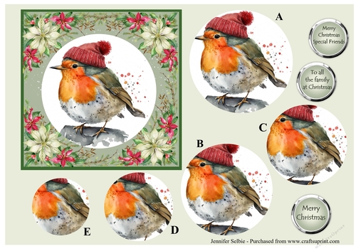 Cute little Robin Pryamid Topper No.1