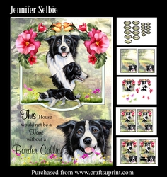Dogs - Border Collie