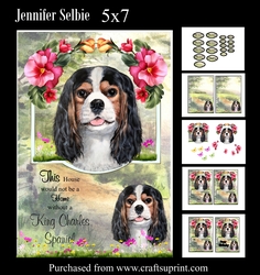 Dogs - King Charles Spaniel