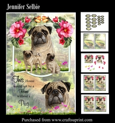 Dogs - Pug