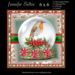 Mr Robin Christmas Globe card size 6 x 6