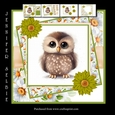 Cute little Owl