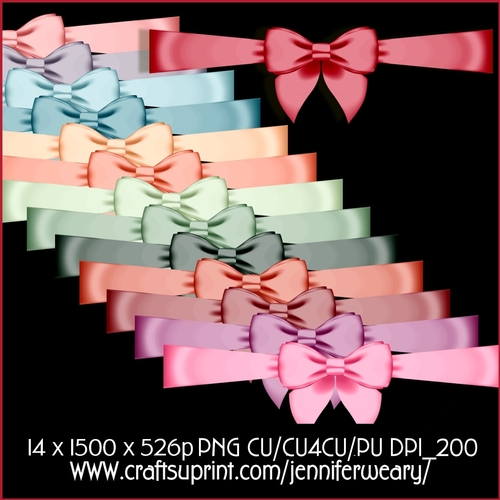 Succulants Bright Bows 4