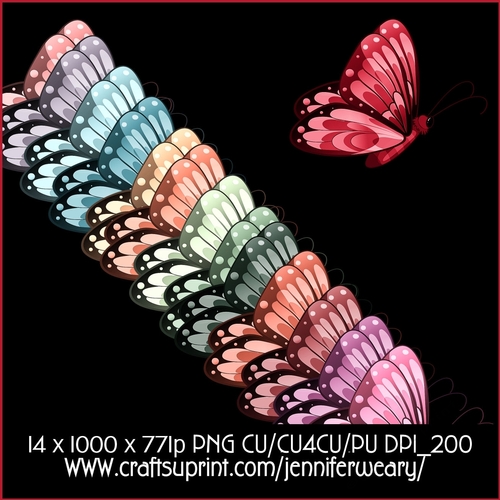 20 Succulants Bright Butterflies